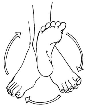 Image result for ankle rotation