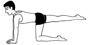 Back Exercise 8