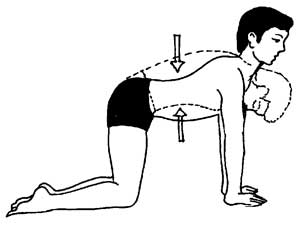 Back Exercise 9 Back Exercise 9