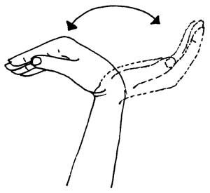 Elbow, Wrist And Hand Exercise 1
