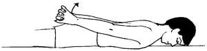 Shoulder Exercise 5 Shoulder Exercise 5