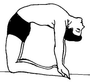 Poses in Sitting Position 6 Poses in Sitting Position 6