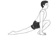 Suryanamaskar 4