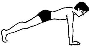 Suryanamaskar 5